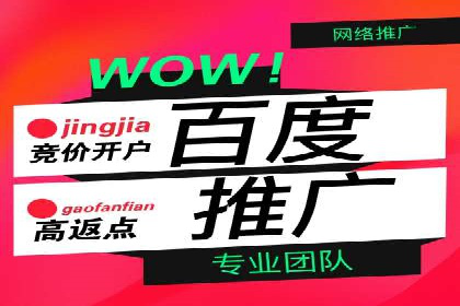 百度推广案例：成功打造行业领军品牌